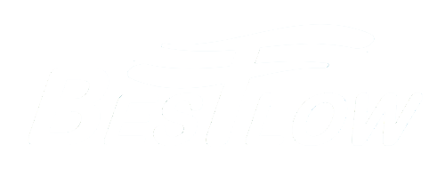 Besflow logo trắng